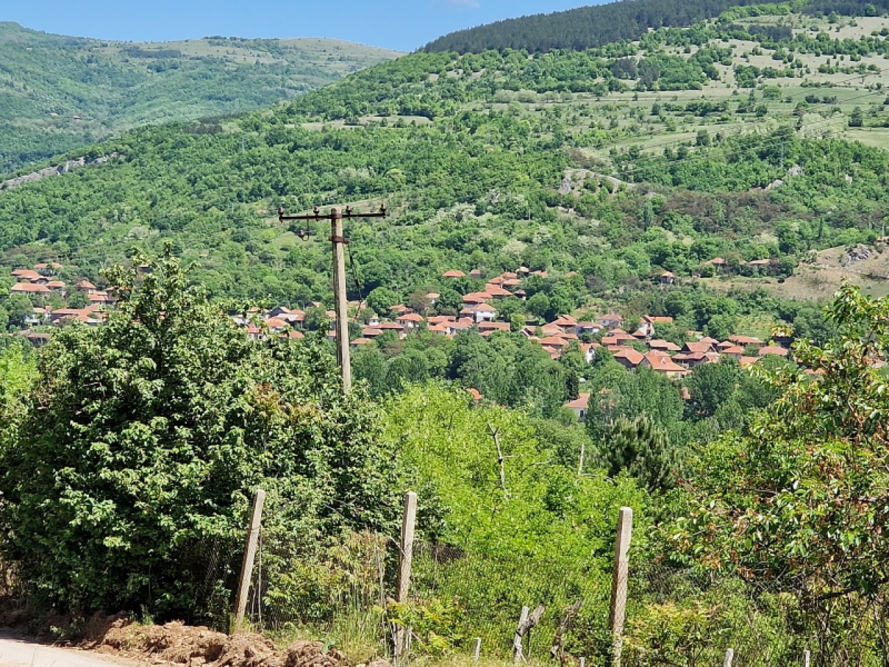 Počelo asfaltiranje puta Temska - Ragodeš - Pirot Plus Online